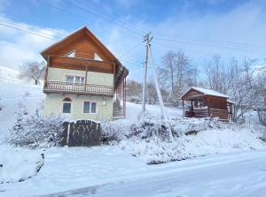 a house in the snow next to a street at Карпатський будинок in Izki