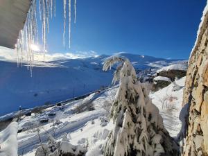 a tree covered in snow with icicles hanging from it at Villa Winterfell Popova Shapka in Popova Shapka