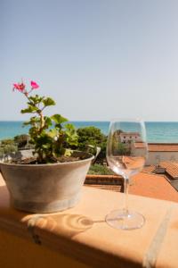 een wijnglas op een tafel naast een potplant bij Mare Nostrum Casa Vacanza in Licata