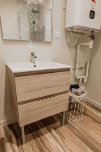 een badkamer met een wastafel en een spiegel bij UM studios in Saint-Chamond