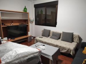 TV a/nebo společenská místnost v ubytování EN EL CORAZON DEL BARRIO DE LA ESTACIÓN