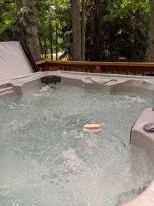 a frisbee floating in a pool of water at Quiet and Comfy 3bed/2bath - Chalet with hot tub. in Cedar