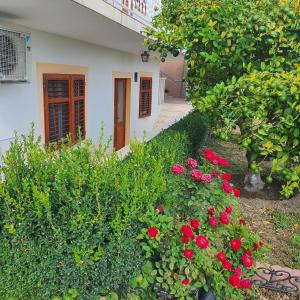 Zahrada ubytování Apartment Stipe