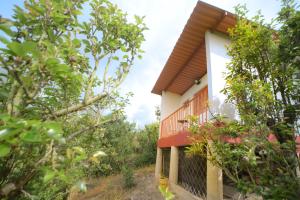 a house in the woods with a balcony at Cabaña Mirador Angelita in Nuevo Colón