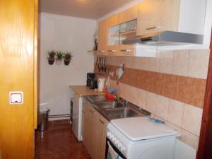 Kuchyň nebo kuchyňský kout v ubytování Apartments Pavlić