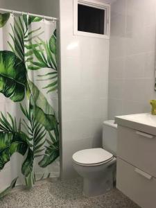 baño con aseo y cortina de ducha verde en Casa Jesùs, en Ontinyent