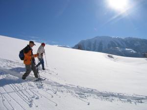 Hotel Wieser en invierno