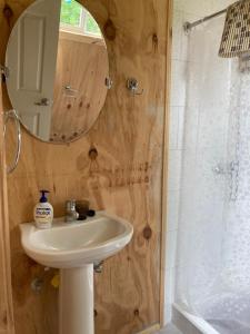een badkamer met een wastafel, een spiegel en een douche bij Hostal Flor del Meli in Dalcahue