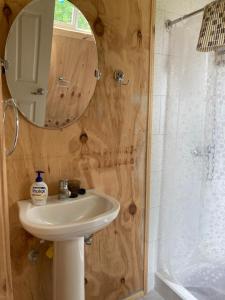 a bathroom with a sink and a mirror and a shower at Hostal Flor del Meli in Dalcahue