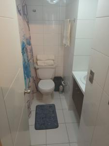 a small bathroom with a toilet and a sink at Acogedor y renovado Departamento in Santiago