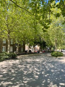 a tree lined street in front of a building at London Eye Centre Flat in London