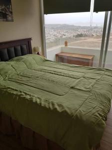 a green bed in a bedroom with a large window at Tranquilidad Veraniega Pet Friendly in La Serena