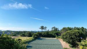 una carretera bordeada de árboles en un campo en Guesthouse ORI ORI, en Niigata