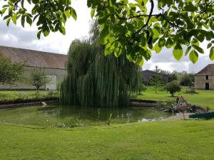 uma árvore no meio de um lago num quintal em Gîte Marolles-les-Braults, 4 pièces, 7 personnes - FR-1-410-136 em Marolles-les-Braults
