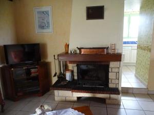 a living room with a fireplace and a tv at Évasion rustique avec cheminée et vélos, proche du Mans - FR-1-410-166 in Congé-sur-Orne