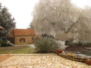 un passaggio in pietra di fronte a una casa con un albero di Maison de campagne au calme, jardin, cheminée, proche village et loisirs - FR-1-410-170 a Vernie