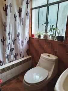 y baño con aseo y cortina de ducha. en Departamento en Colonia Roma con 2 habitaciones, en Ciudad de México