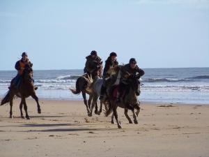 un grupo de personas montando a caballo en la playa en Gîte authentique avec terrasse, jardin clos et wifi à La Garnache - FR-1-426-140, en La Garnache