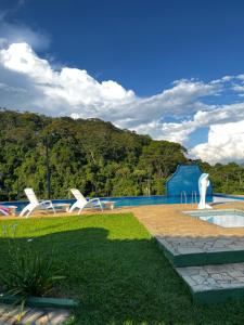 a swimming pool with a statue of a dolphin at ECO RESORT FASCINAÇÃO in Miguel Pereira