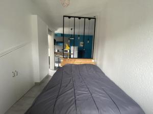 a bedroom with a large bed in a room at Studio central avec Wi-Fi proche des Thermes de La Roche-Posay - FR-1-541-82 in La Roche-Posay +1 photo