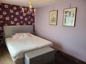 ein Schlafzimmer mit einem Bett und zwei Bildern an der Wand in der Unterkunft Appartement Confortable à Remiremont, Proche Centre et Commerces, Garage et Wifi Inclus - FR-1-589-132 in Remiremont