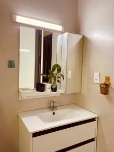 een badkamer met een wastafel en een spiegel bij HOMEY Homestay Hue 