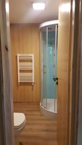 a bathroom with a toilet and a glass shower at Apartamento 16 - Vivero 5 in San Martín de los Andes