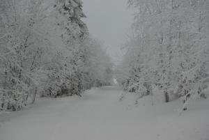 Cihlářská bouda, apartmán 307 v zime