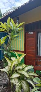 Foto dalla galleria di Agung Pring Homestay a Sampalan