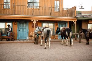 un grupo de caballos parados fuera de un edificio en Tombstone Monument Guest Ranch, en Tombstone