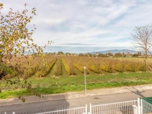 Eine Straße mit einem Zaun neben einem Feld in der Unterkunft Casa Sant Pere Pescador, 5 dormitorios, 10 personas - ES-89-78 in Sant Pere Pescador