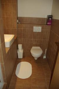 a bathroom with a toilet and a sink at Cihlářská bouda, apartmán 307 in Černý Dŭl