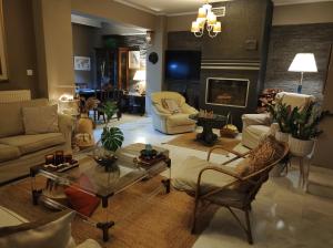 a living room filled with furniture and a fireplace at maisonette with garden in Perea