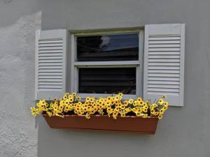 een raamkozijn gevuld met zonnebloemen voor een raam bij 3 Bedroom Miami Home 15 Minutes to the Beach in Miami