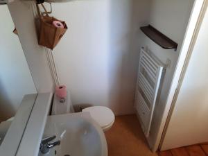 a bathroom with a white toilet and a sink at Charmant T2 avec jardin privé, proche centre et plages de Capbreton - FR-1-239-632 in Capbreton
