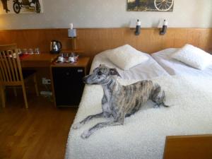 Postel nebo postele na pokoji v ubytování Sankt Olof Hotell & Krog