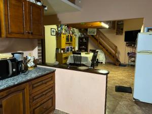 une cuisine avec un comptoir et un réfrigérateur dans l'établissement Casa Ostende, à Ostende