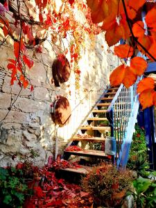 a staircase in a garden with autumn leaves at Ble Mavi - Studio for 2 in Vouni