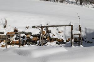 Familienbauernhof Samerhof v zime