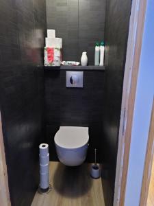 a bathroom with a toilet in a black tiled wall at Appartement 2 Chbres Calme Vue vallée 500m des pistes in Le Corbier +18 photos