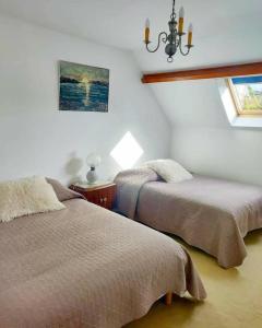 1 Schlafzimmer mit 2 Betten und einem Kronleuchter in der Unterkunft Le Jardin d'Eden in Château-Thierry