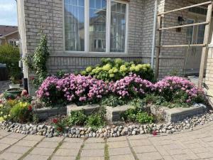 a garden of flowers in front of a house at Cozy Detached Home in Richmond Hill in Richmond Hill