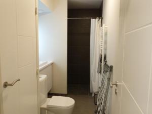 a bathroom with a toilet and a shower at Appartement La Tranche-sur-Mer, 2 pièces, 4 personnes - FR-1-194-221 in La Tranche-sur-Mer