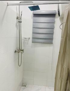 a bathroom with a shower with a shower curtain at Big Studio Unit in Lekki phase 1 - Kitchen, Washer, 24-7 light, WiFi & Netflix in Lagos