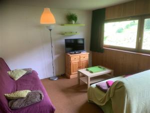 1 dormitorio con 1 cama, TV y sofá en Appartement Mont-Dore, 2 pièces, 4 personnes - FR-1-415-92, en Le Mont-Dore