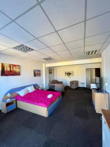 a bedroom with a large bed with a pink blanket at LuanaApartments # 43 in Otopeni