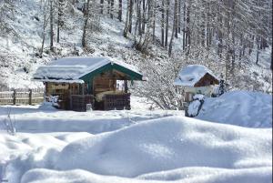 Das Eulersberg Apartments & Chalets בחורף