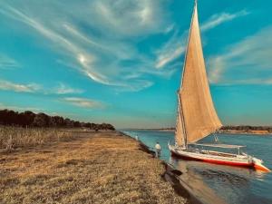 a sail boat on the water next to a beach at My Dream Nile Felucca in Aswan