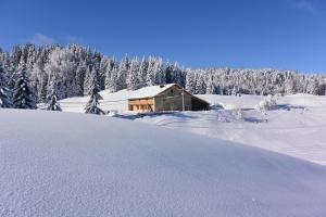une cabine recouverte de neige au milieu d'une neige forêt couverte dans l'établissement Gîtes Tré Le Grenier, à Les Moussières