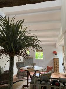 - un salon avec une table et un palmier dans l'établissement La Girondine, à Saint-Philippe-dʼAiguille